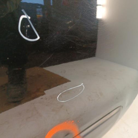 Porte arriere gauche CITROEN C3 PICASSO