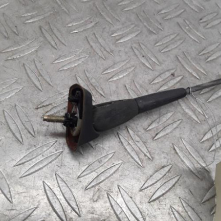Antenne RENAULT SCENIC 1
