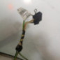 Malle/Hayon arriere CITROEN C4 1
