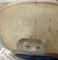 Vase d'expansion SEAT IBIZA 4 Photo n°3