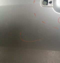 Porte avant gauche OPEL AGILA B Photo n°4