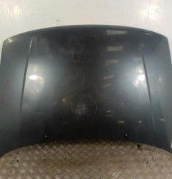 Capot VOLKSWAGEN POLO 3 Photo n°1