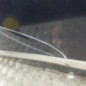 Porte arriere gauche CITROEN C5 2
