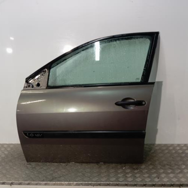 Porte avant gauche RENAULT MEGANE 2