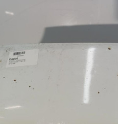 Capot RENAULT CLIO 1 Photo n°4