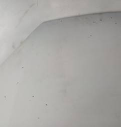 Capot OPEL CORSA C Photo n°3