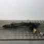 Cremaillere assistee PEUGEOT 308 1 SW