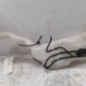 Vase de lave glace RENAULT MEGANE 4