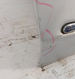 Porte arriere droit MERCEDES CLASSE S 221 Photo n°4