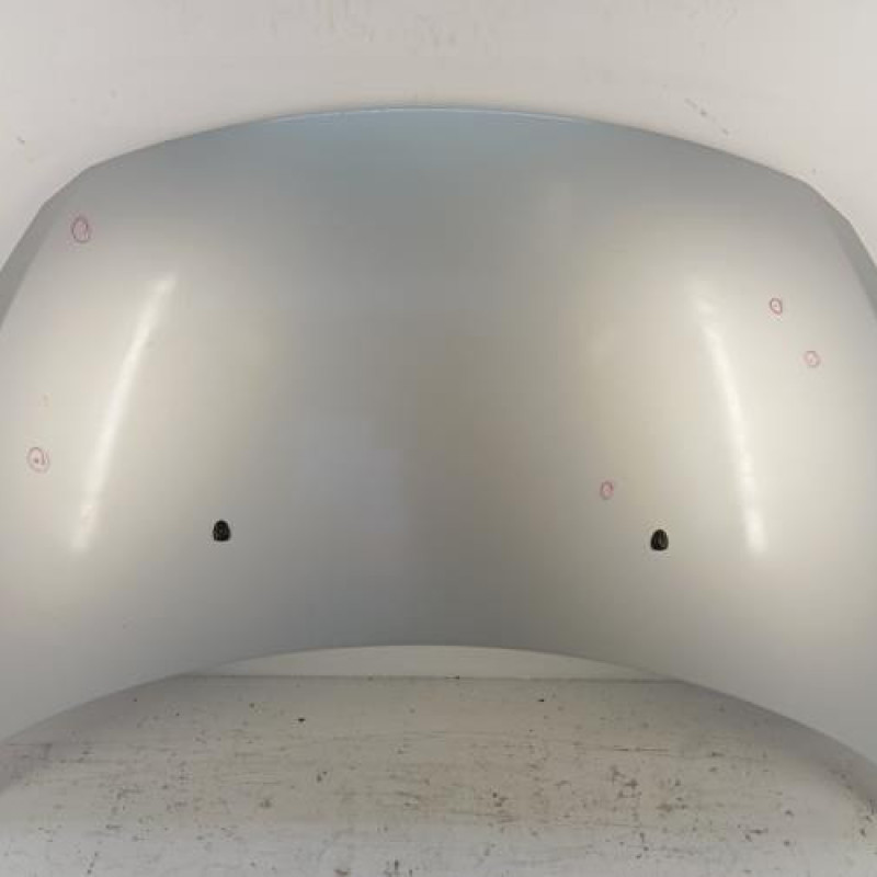 Capot PEUGEOT 307 Capot PEUGEOT 307