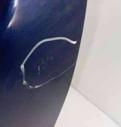 Porte avant gauche RENAULT MEGANE 1 Photo n°3