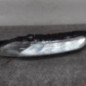 Feu diurne avant gauche CITROEN C4 PICASSO 2