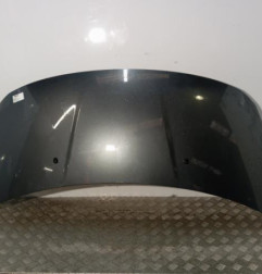 Capot PEUGEOT 3008 1 Photo n°1