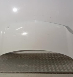 Capot RENAULT KANGOO 2 Photo n°1