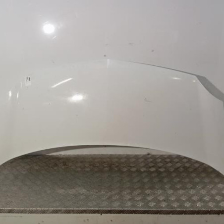 Capot RENAULT KANGOO 2 Photo n°1
