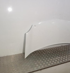 Capot RENAULT KANGOO 2 Photo n°3