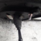 Retroviseur droit KIA PICANTO 2