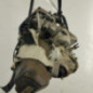 Boite de vitesses RENAULT CLIO 1