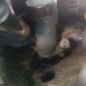 Moteur RENAULT SCENIC 1