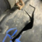 Moteur RENAULT KANGOO 2