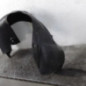 Pare boue arriere droit CITROEN C4 2