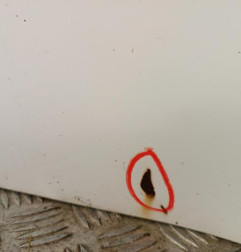 Porte arriere gauche CITROEN C1 1