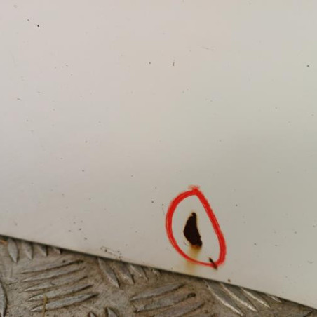 Porte arriere gauche CITROEN C1 1