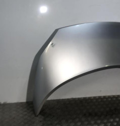 Capot RENAULT SCENIC 2 Photo n°3