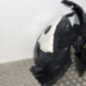 Pare boue avant gauche RENAULT MEGANE 3