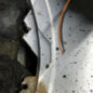 Pare choc avant OPEL ZAFIRA A