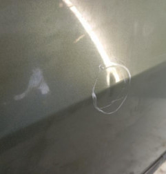 Porte avant droit RENAULT MODUS Photo n°3