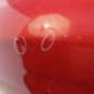 Porte arriere gauche CITROEN C4 2
