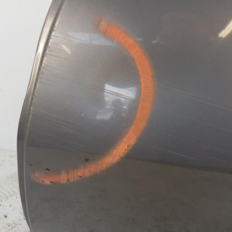 Porte arriere gauche RENAULT SCENIC 3