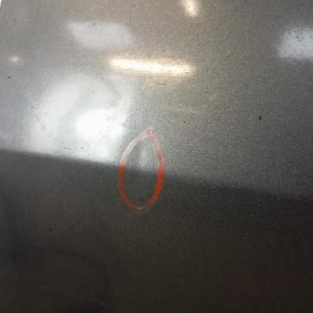 Porte avant gauche FORD FOCUS 1