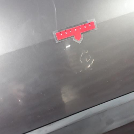 Porte avant gauche RENAULT MEGANE 2