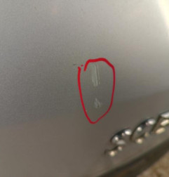 Malle/Hayon arriere RENAULT SCENIC 2