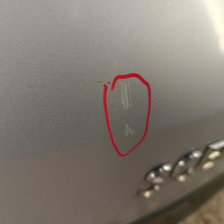 Malle/Hayon arriere RENAULT SCENIC 2