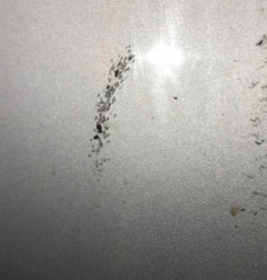 Porte avant droit OPEL MERIVA A Photo n°5