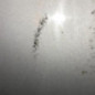 Porte avant droit OPEL MERIVA A