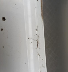 Pare choc arriere CITROEN C3 3 Photo n°5