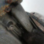 Moteur VOLKSWAGEN POLO 4