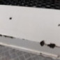 Pare choc avant PEUGEOT 206