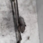 Moteur essuie glace avant CHRYSLER PT CRUISER