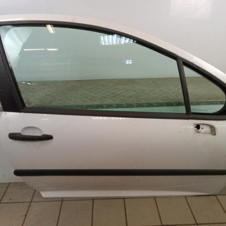 Porte avant droit PEUGEOT 207 Photo n°1