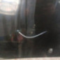 Capot RENAULT TWINGO 3