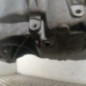 Moteur RENAULT CAPTUR 1