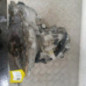 Boite de vitesses OPEL COMBO C