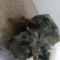 Boite de vitesses FIAT PUNTO 1