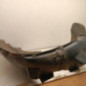 Pare boue avant gauche OPEL CORSA D