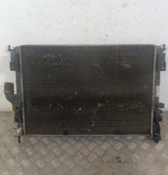 Radiateur eau DACIA SANDERO 1 Photo n°1